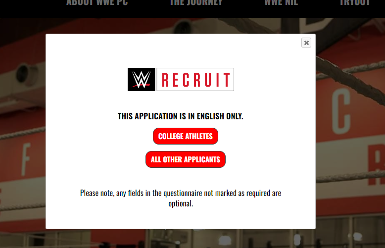 WWE in America tryout